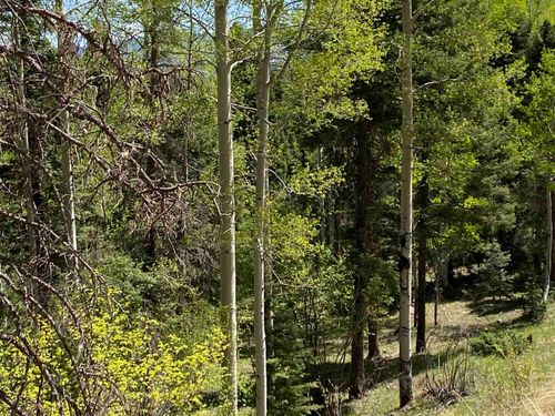 2557 Chalet 3, Angel Fire, NM, 87710 | Card Image