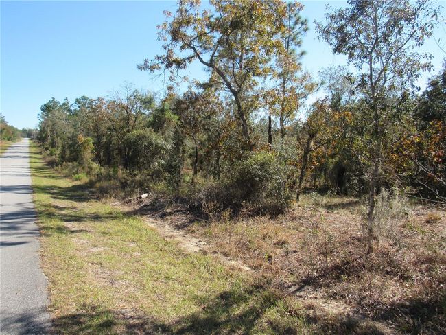 Don't Miss This Opportunity To Purchase This Beautiful One-Acre (.99) Property For Your Future Florida Dream Home In Rainbow Lakes Estates, Marion County Fl! | Image 4