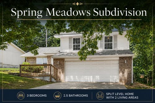 307 Spring Meadow Parkway, Branson, MO, 65616 | Card Image