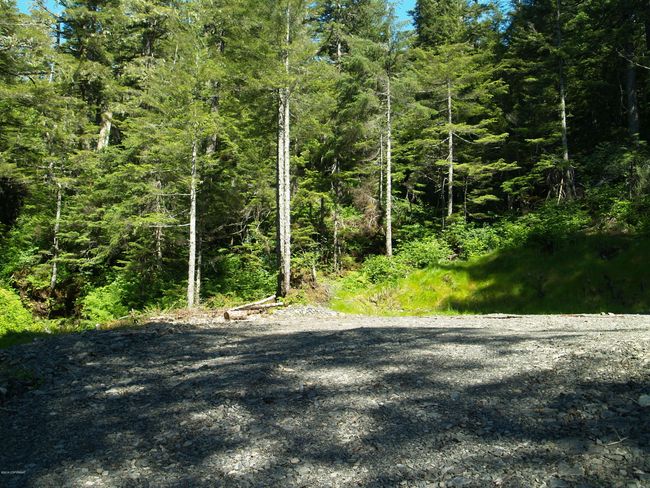 house pad from west side looking east | Image 4