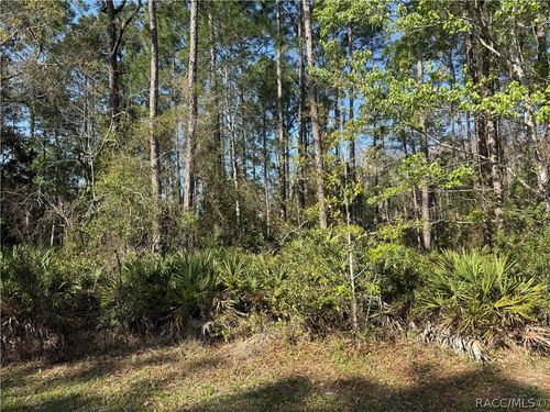 22 Mangrove Court N, HOMOSASSA, FL, 34446 | Card Image