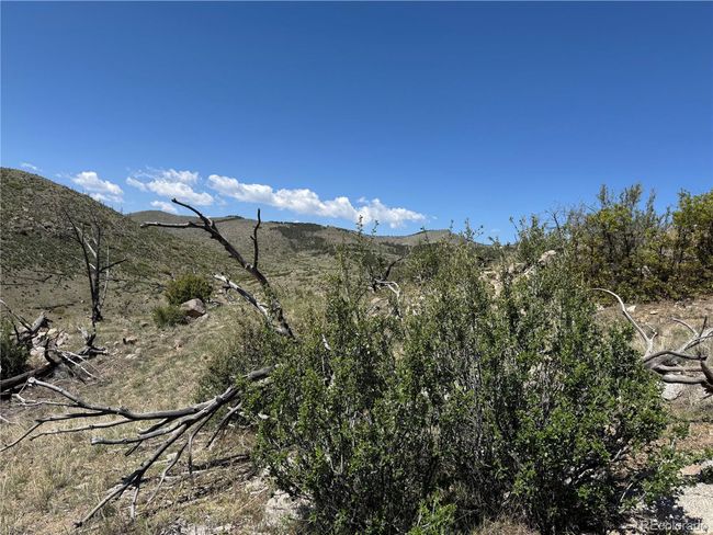 29 18 X, Home with 0 bedrooms, 0 bathrooms and null parking in Cotopaxi CO | Image 21