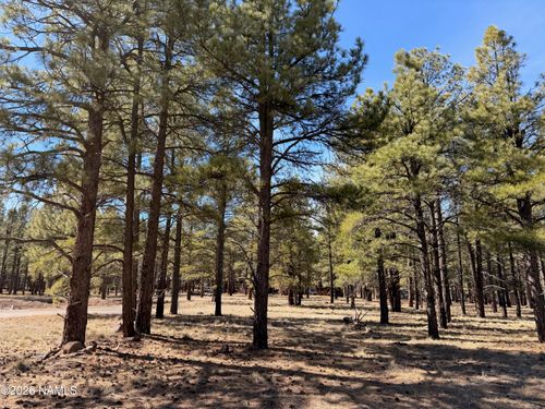 3210 W Northwood Ct, Williams, AZ, 86046 | Card Image