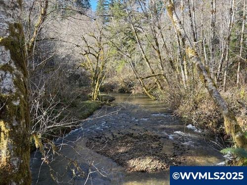 0 Steer Creek Rd, Blodgett, OR, 97326 | Card Image