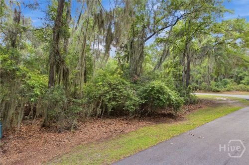Lot 67 Ne Delegal Drive, Townsend, GA, 31331 | Card Image