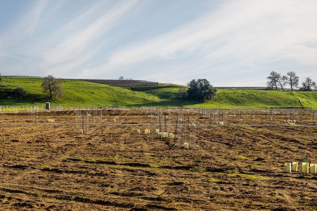 25045 N Mcintire Rd, Home with 0 bedrooms, 0 bathrooms and null parking in Clements CA | Image 15