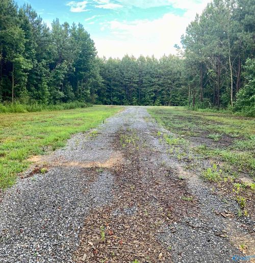 3109 County Road 41, Fyffe, AL, 35971 | Card Image