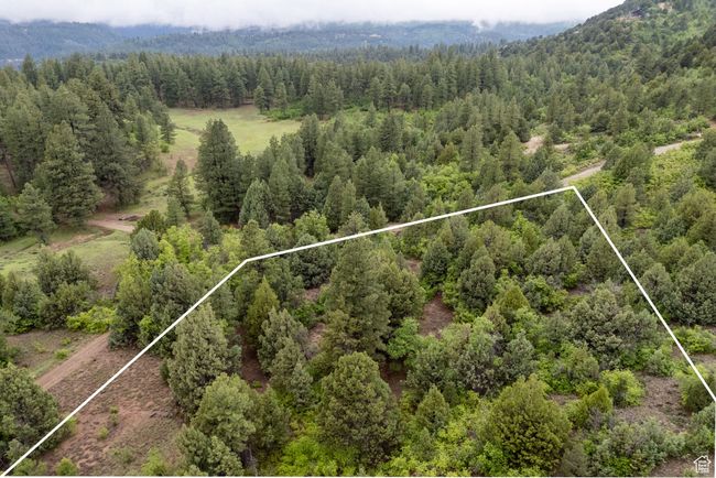 Aerial view of property's location with a forest and property parcel outlined | Image 7