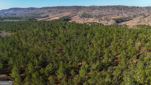 32 ACRES ON BAC Tract 14, Lyerly, GA, 30730 | Card Image