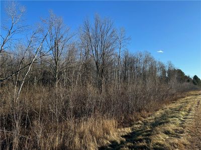 30 acres on State Hwy 27, Home with 0 bedrooms, 0 bathrooms and null parking in Ojibwa WI | Image 3