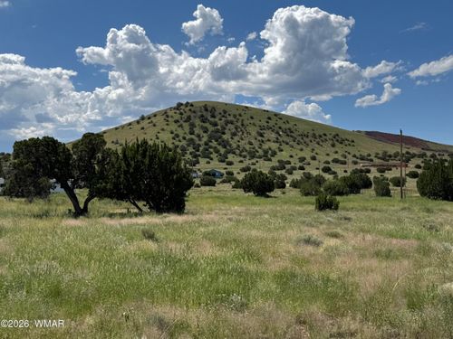 31-31 County Road 5203, Concho, AZ, 85924 | Card Image