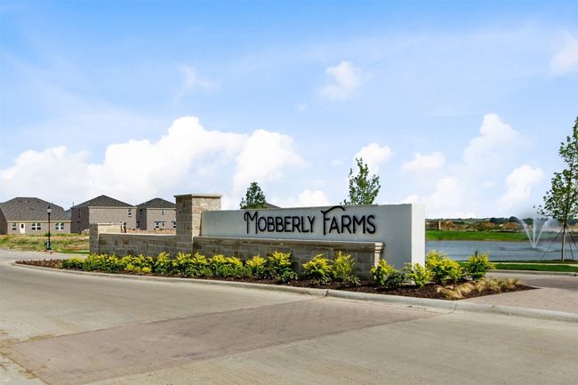 14159 Marion Downs Trl, House other with 4 bedrooms, 3 bathrooms and null parking in Pilot Point TX | Image 4