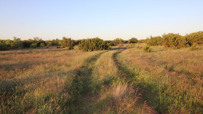3609 Fm 1086, Home with 0 bedrooms, 0 bathrooms and null parking in Ovalo TX | Image 9