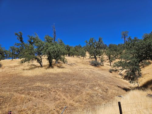 119 acres Platina Road, Igo, CA, 96047 | Card Image