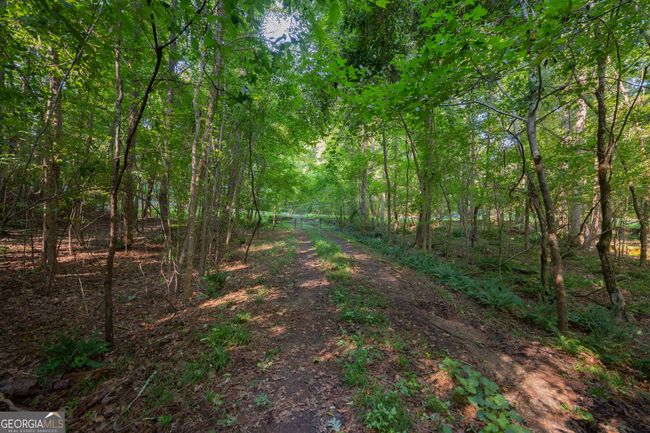 198.62+/- ACRES Apalachee Woods Trl, Home with 0 bedrooms, 0 bathrooms and null parking in Buckhead GA | Image 13