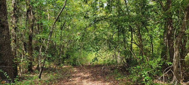 0 E Silver Shoals Rd, Home with 0 bedrooms, 0 bathrooms and null parking in Toccoa GA | Image 9