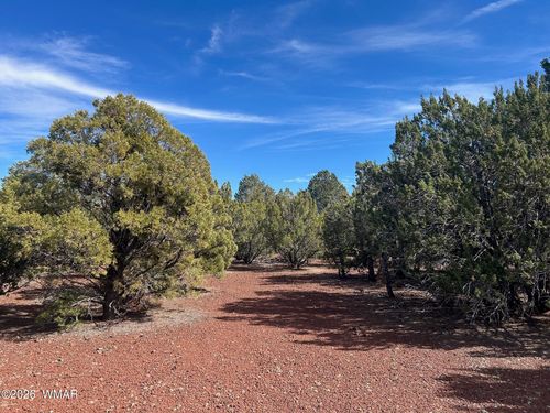 Lot 86 Ricks Road, Vernon, AZ, 85940 | Card Image