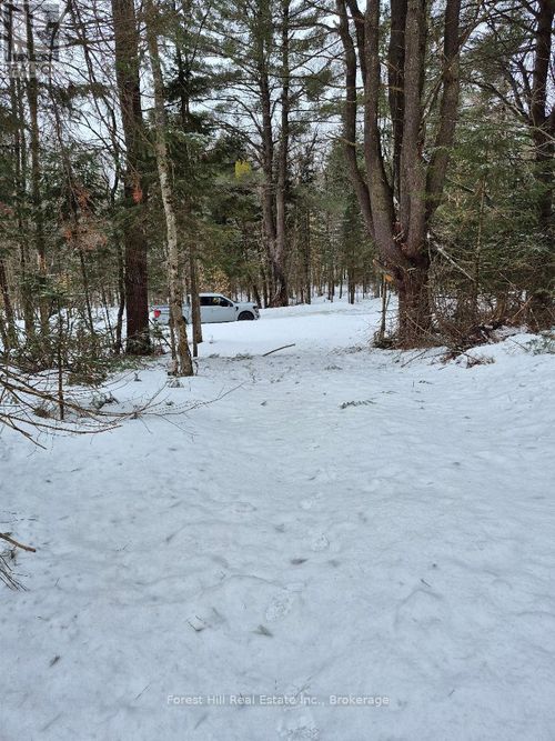 247 Woodland Drive, McMurrich/Monteith (McMurrich), ON, P0A1Y0 | Card Image