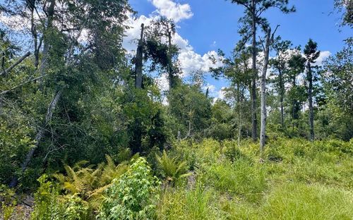 LOT71 Nw County Road 152, Jennings, FL, 32053 | Card Image