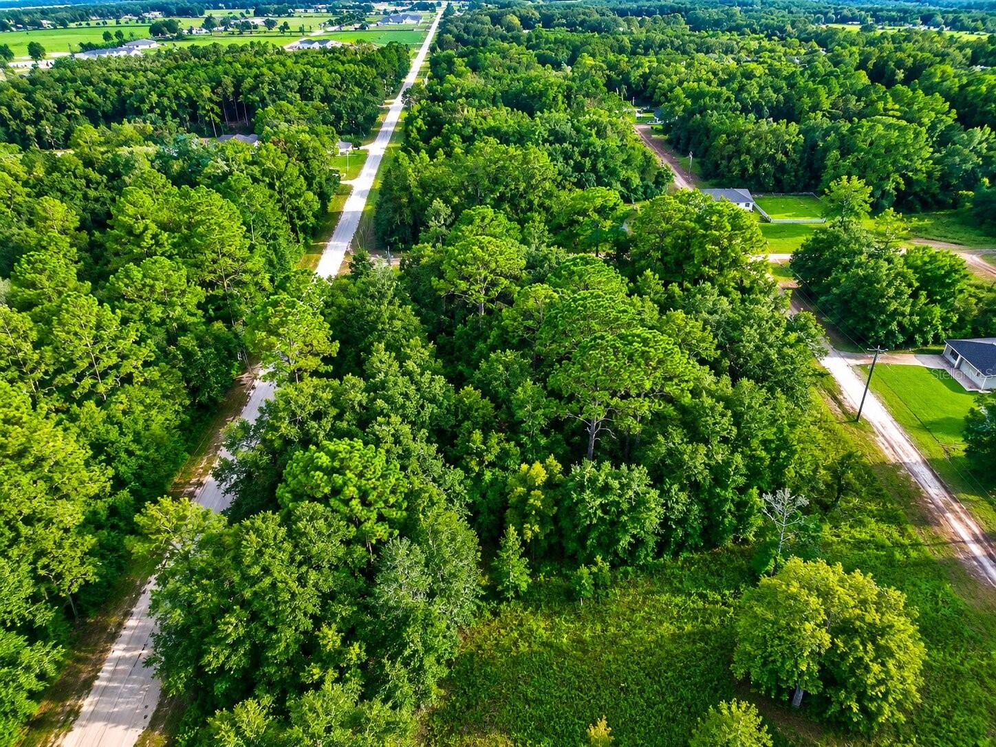 Land in OCALA 3