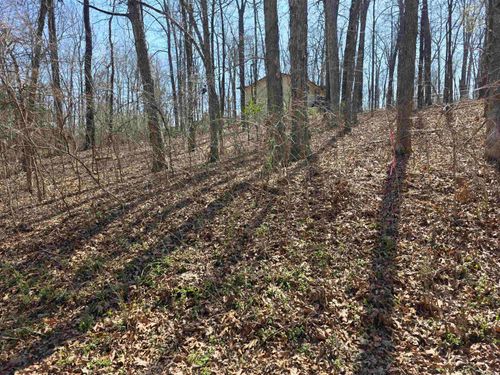 L35 B2 Powhatan Drive, Cherokee Village, AR, 72529 | Card Image