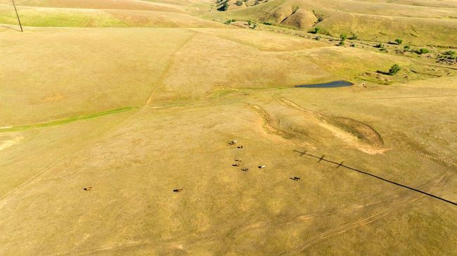 0 S Gulch Rd, Home with 0 bedrooms, 0 bathrooms and null parking in Valley Springs CA | Image 8