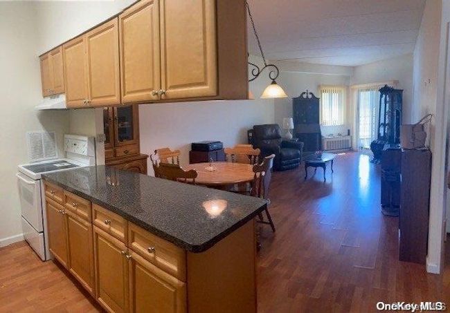 APT-125 - 725 Miller Ave, Condo with 1 bedrooms, 1 bathrooms and 2 parking in Freeport NY | Image 7