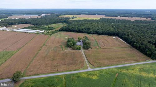 3557 Sheephouse Rd, POCOMOKE CITY, MD, 21851-2305 | Card Image