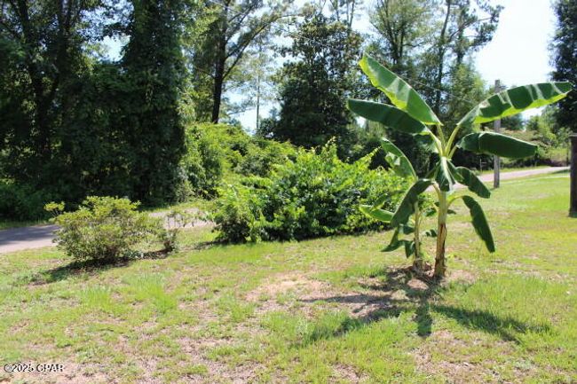 2100 Third Ave, House other with 3 bedrooms, 3 bathrooms and null parking in Sneads FL | Image 23