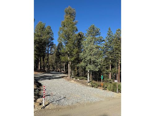 1667 Singletree Rd, HARTSEL, CO, 80449-8558 | Card Image
