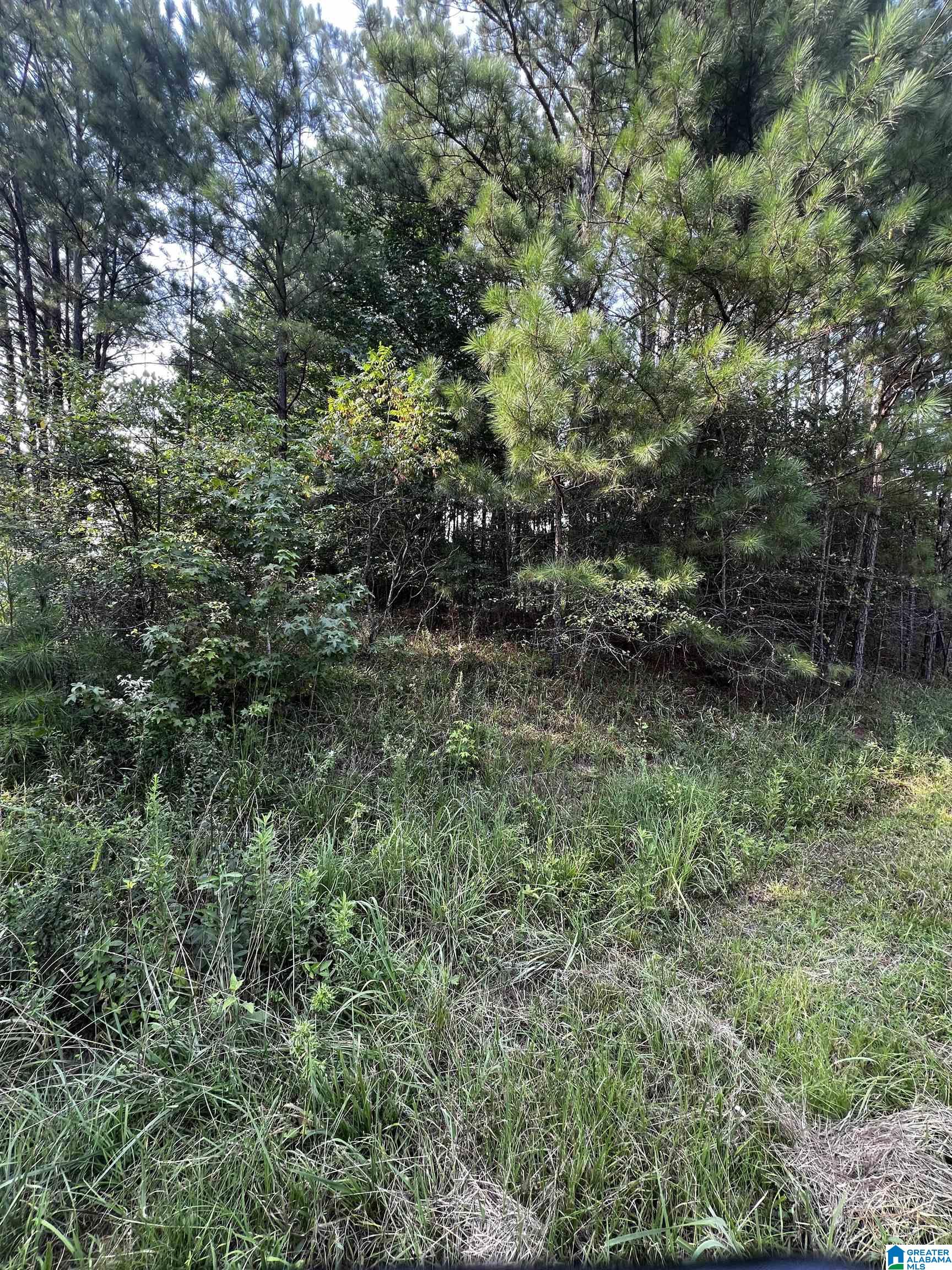Land in ODENVILLE 2