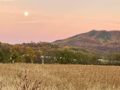 1650 E Highway 25 70, Newport, TN, 37821-5546 | Card Image