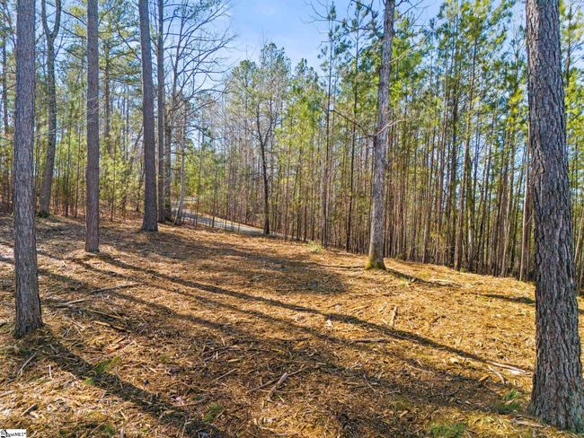 0 Long Cove Trl, Home with 0 bedrooms, 0 bathrooms and null parking in Salem SC | Image 13