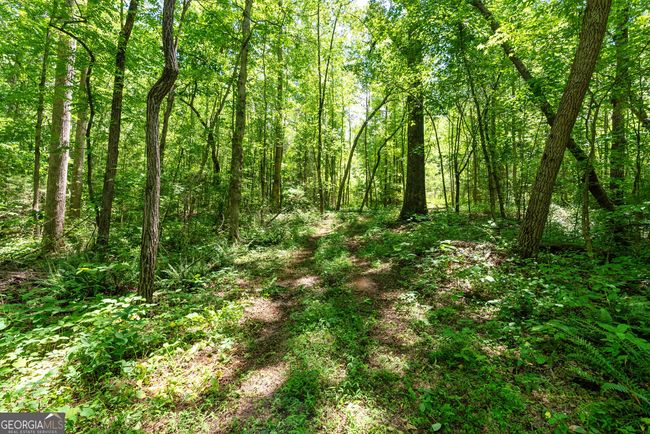 TRACT 1 Brookhaven Cir, Home with 0 bedrooms, 0 bathrooms and null parking in Toccoa GA | Image 5