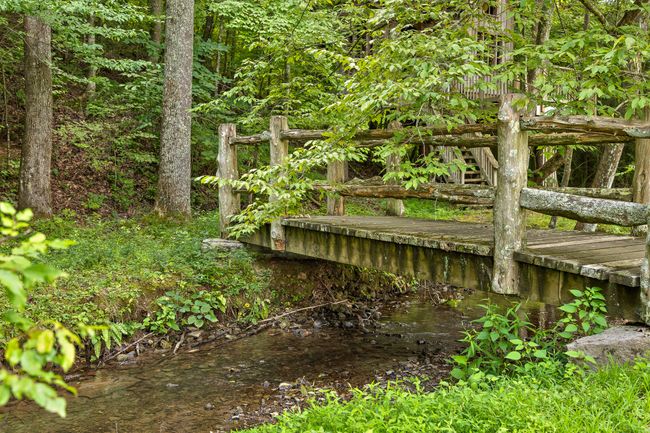 Bridge across Mill Creek leading to the pond and Treehouse | Image 16