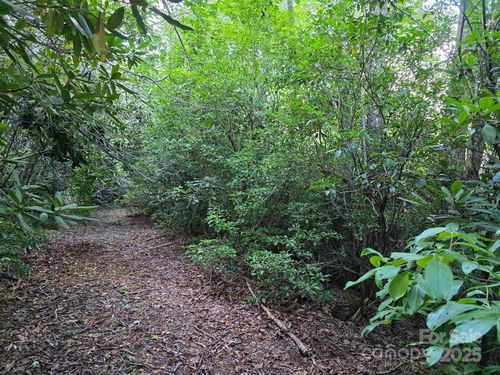 LOT 2 Pine Ridge Road, Burnsville, NC, 28714 | Card Image