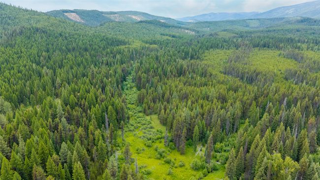 View of mountain background with a heavily wooded area | Image 11