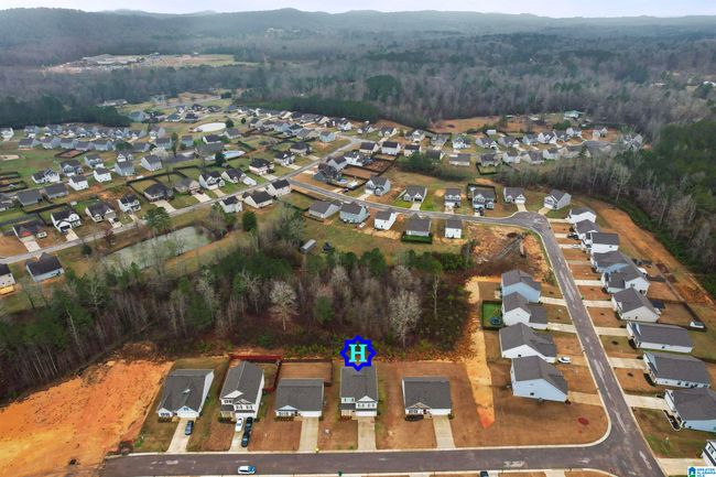 120 Fallen Oaks Ln, House other with 4 bedrooms, 3 bathrooms and null parking in SPRINGVILLE AL | Image 7