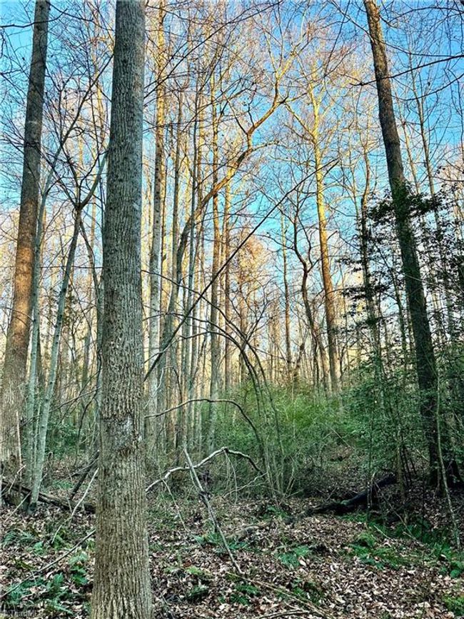 00 Farmstead Rd, Home with 0 bedrooms, 0 bathrooms and null parking in Seagrove NC | Image 30