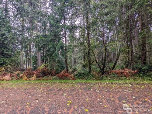 11412 Admiralty Way, Anderson Island, WA, 98303 | Card Image