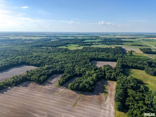 000 Jones Ridge Road, Alma, IL, 62807 | Card Image