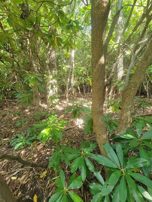 tbd Edgeview Dr, Meadows of Dan, VA, 24120 | Card Image