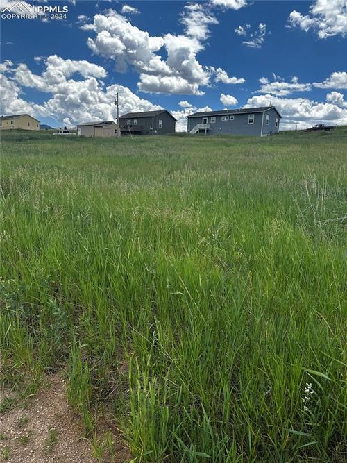 1298 Will Scarlet Dr, Divide, CO, 80814-9531 | Card Image