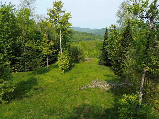 larger Southwestern views could be enhanced by cutting trees on the left (South) side | Image 4