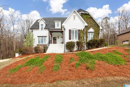 335 Gray Fox Rd, SPRINGVILLE, AL, 35146-7601 | Card Image