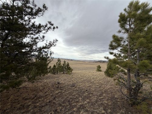 990 Coyotero Trl, Hartsel, CO, 80449 | Card Image