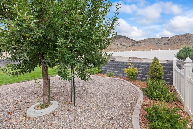 View of yard featuring a mountain view | Image 91