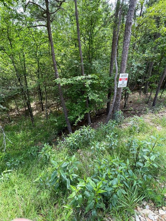 Land in Broken Bow 3