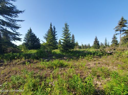 17537 Chefornak St, Ninilchik, AK, 99639 | Card Image