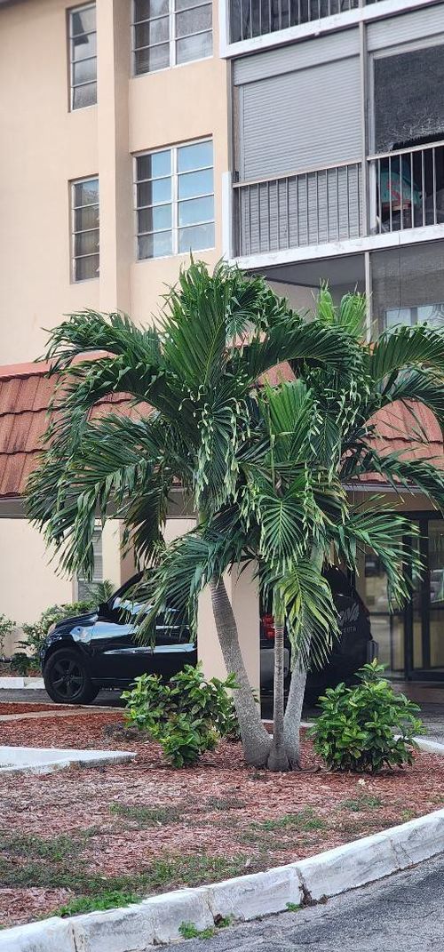 209-4168 Inverrary Dr, Lauderhill, FL, 33319-4526 | Card Image